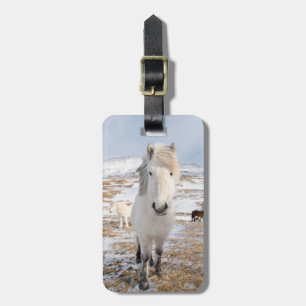 Étiquette À Bagage Cheval islandais blanc, Islande