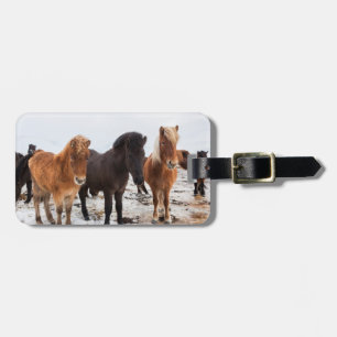 Étiquette À Bagage Cheval islandais en hiver en Islande