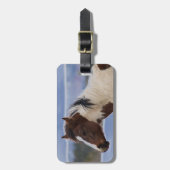 Étiquette À Bagage Cheval Tri Coloré (Devant Vertical)