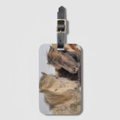 Étiquette À Bagage Chevaux d'Islande (Devant Vertical)