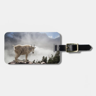 Étiquette À Bagage Chèvre de montagne en parc national de glacier
