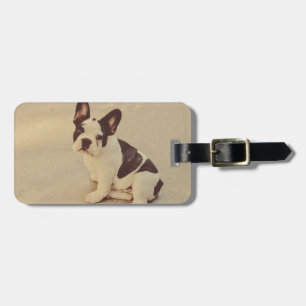 Étiquette À Bagage Chien