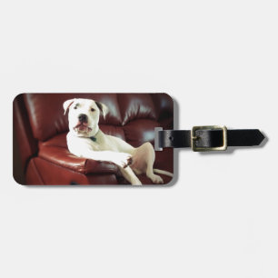 Étiquette À Bagage chien bouledogue pitbull blanc drôle sur le canapé