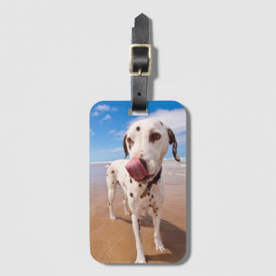 Étiquette À Bagage Chien dalmatien sur la plage
