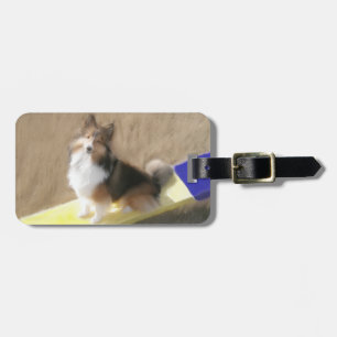 Étiquette À Bagage Chien de berger de CuteShetland se reposant sur