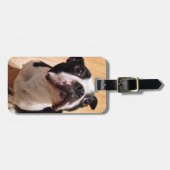 Étiquette À Bagage Chien de Boston Terrier (Devant horizontal)