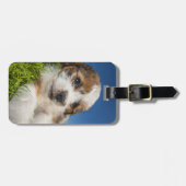 Étiquette À Bagage Chien de chiot mou (Shitzu) (Devant horizontal)