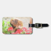 Étiquette À Bagage Chien de maman de Pitbull (Devant horizontal)