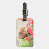 Étiquette À Bagage Chien de maman de Pitbull (Devant Vertical)