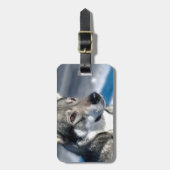 Étiquette À Bagage Chien de traîneau dans l'étiquette de bagage de (Devant Vertical)