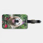 Étiquette À Bagage Chien doré souriant parmi les fleurs (Dos horizontal)