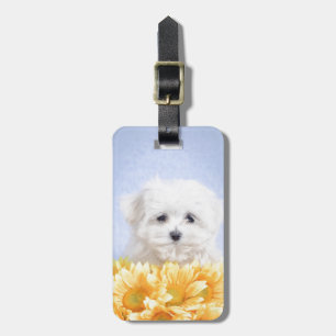 Étiquette À Bagage Chien maltais
