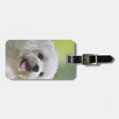 Étiquette À Bagage Chien maltais blanc (Devant horizontal)