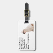 Étiquette À Bagage Chien mignon blanc taureau (Devant Vertical)