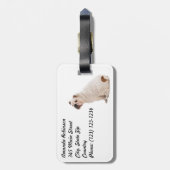 Étiquette À Bagage Chien mignon blanc taureau (Dos Vertical)