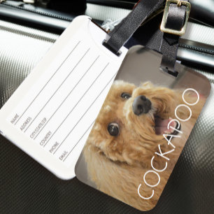 Étiquette À Bagage Chien mignon Cockapoo Animal de compagnie Amoureux