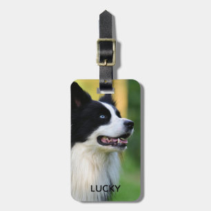 Étiquette À Bagage Chien noir et blanc à la frontière