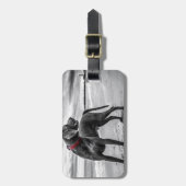 Étiquette À Bagage Chien Weimaraner (Devant Vertical)