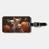 Étiquette À Bagage Chihuahua Chiot Automne Citrouille de plaisir (Devant horizontal)