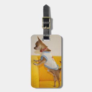 Étiquette À Bagage Chihuahua Puppy Sur Le Canapé Jaune
