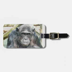 ÉTIQUETTE À BAGAGE CHIMPANZÉS