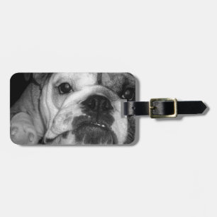 Étiquette À Bagage Chiot anglais noir et blanc de bouledogue