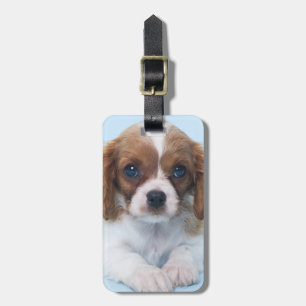 Étiquette À Bagage Chiot cavalier d'épagneul du Roi Charles
