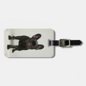 Étiquette À Bagage Chiot-chien français le plus croustillant (Devant horizontal)