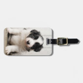 Étiquette À Bagage Chiot de border collie (Devant horizontal)