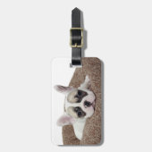 Étiquette À Bagage Chiot de bouledogue français se situant dans un (Devant Vertical)