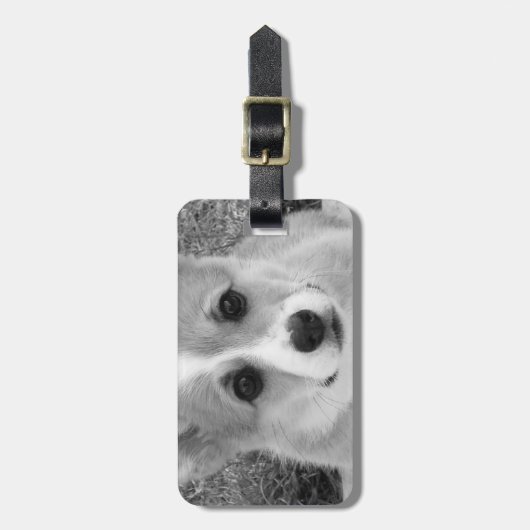 Étiquette À Bagage Chiot de corgi (Devant Vertical)