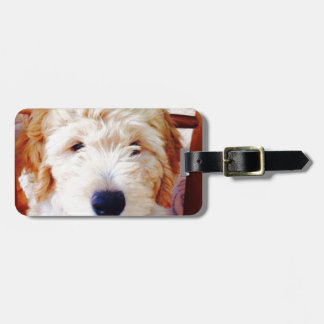 Étiquette À Bagage Chiot de Goldendoodle