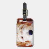 Étiquette À Bagage Chiot de Goldendoodle (Devant Vertical)