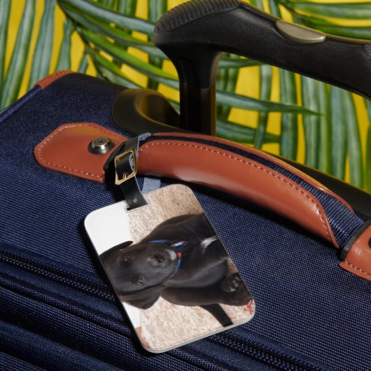 Étiquette À Bagage Chiot de récupération Black Labrador (Insitu Rectoal 1)