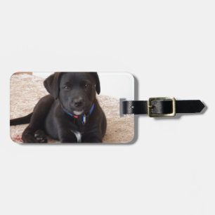 Étiquette À Bagage Chiot de récupération Black Labrador