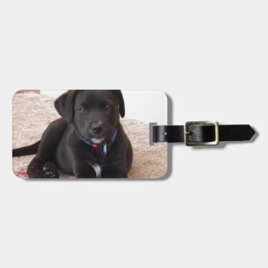 Étiquette À Bagage Chiot de récupération Black Labrador (Devant horizontal)