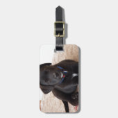 Étiquette À Bagage Chiot de récupération Black Labrador (Devant Vertical)