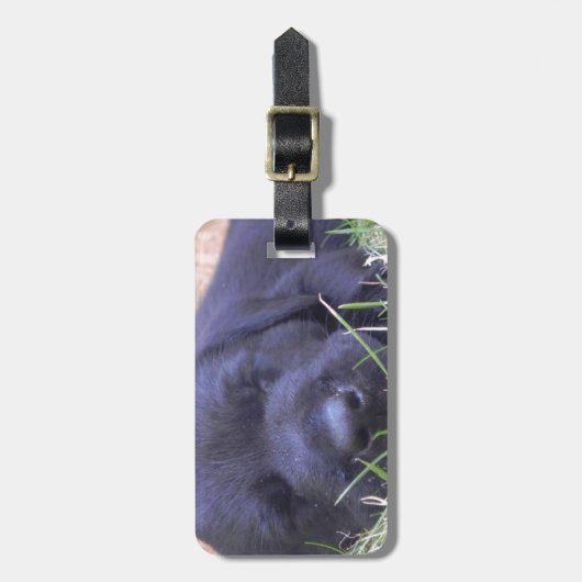 Étiquette À Bagage Chiot de sommeil Labrador (Devant Vertical)