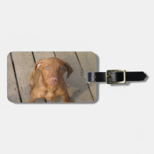 Étiquette À Bagage chiot de vizsla