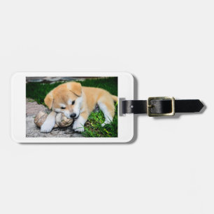 Étiquette À Bagage chiot rouge d'akita avec le jouet