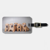 Étiquette À Bagage Chiots chinois Shar Pei (Devant horizontal)