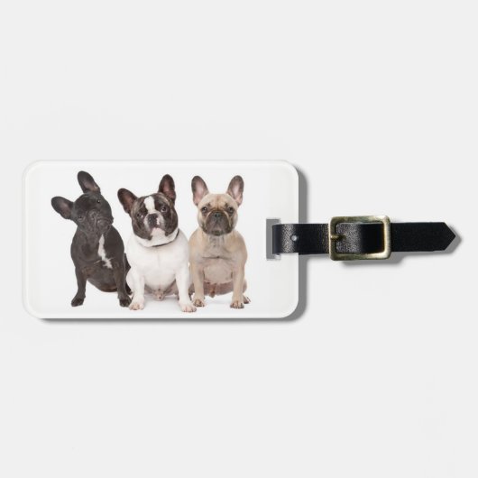Étiquette À Bagage Chiots mignons de bouledogue français (Devant horizontal)