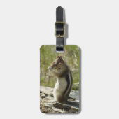 Étiquette À Bagage Chipmunk dans le Parc national des Glaciers II