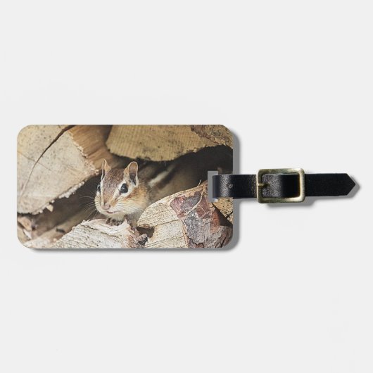 Étiquette À Bagage Chipmunk dans une pile de bois (Devant horizontal)