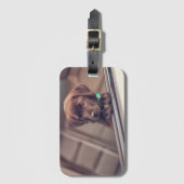 Étiquette À Bagage Chocolat Labrador Puppy In Car (Devant Vertical)