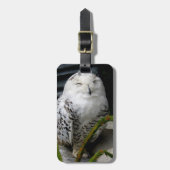 Étiquette À Bagage Chouette moelleuse (Devant Vertical)