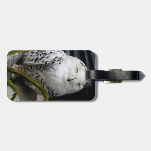 Étiquette À Bagage Chouette moelleuse (Dos horizontal)