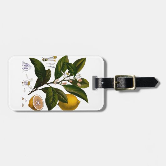 Étiquette À Bagage Citron (Devant horizontal)