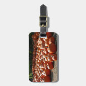 Étiquette À Bagage Citrouille Patch Automne Harvest Photographie (Devant Vertical)