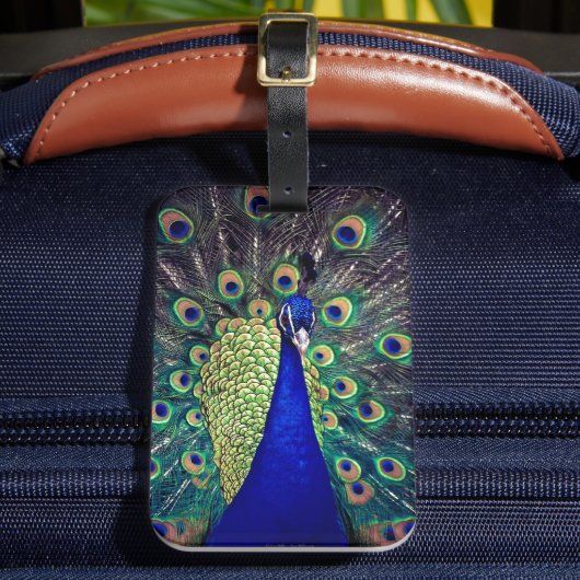 Étiquette À Bagage Cobalt Blue Peacock (Insitu Rectoal 2)